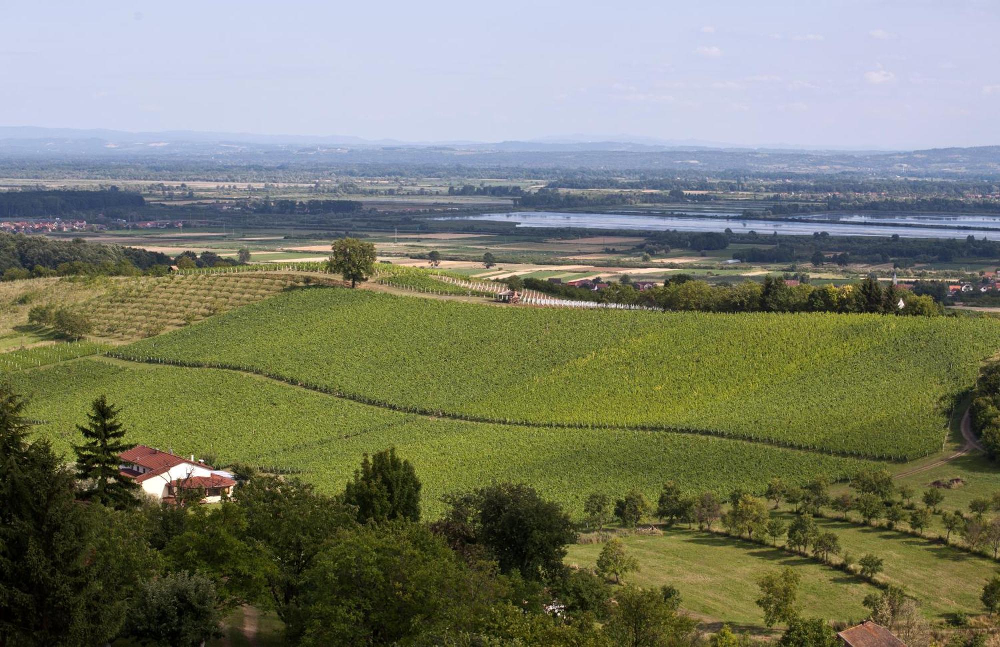 Stupnicki Dvori Winery Hotel Stupnik Brodski Exteriör bild