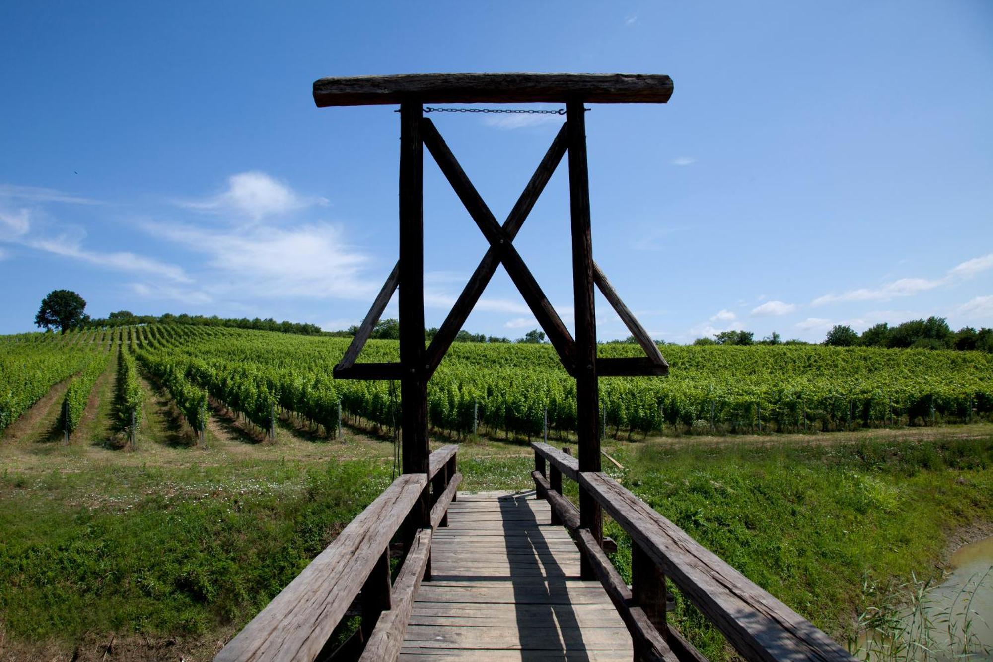 Stupnicki Dvori Winery Hotel Stupnik Brodski Exteriör bild