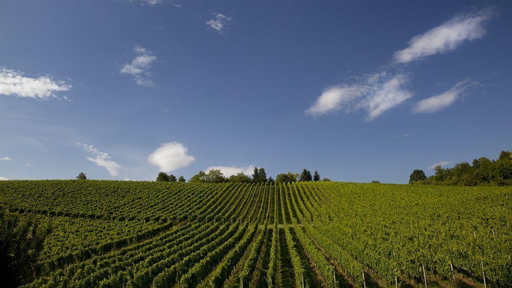 Stupnicki Dvori Winery Hotel Stupnik Brodski Exteriör bild