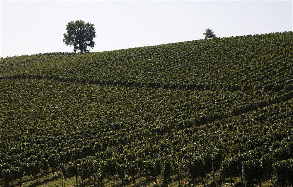 Stupnicki Dvori Winery Hotel Stupnik Brodski Exteriör bild