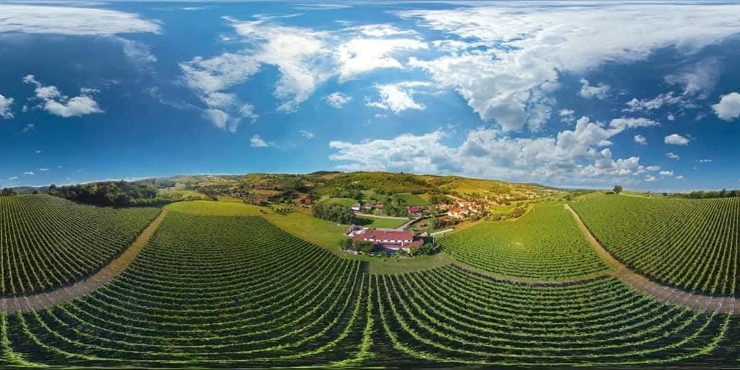 Stupnicki Dvori Winery Hotel Stupnik Brodski Exteriör bild